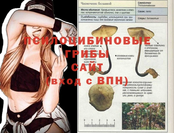 тгк Фурманов